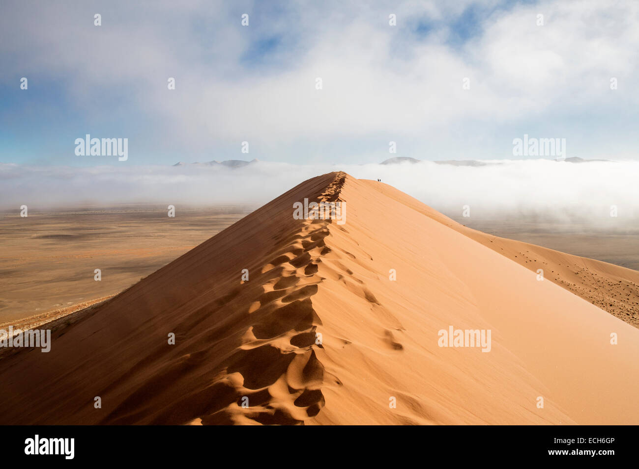 Dune 45 con nebbia di mattina, dune di sabbia, Sossusvlei, Namib Desert, Namibia Foto Stock