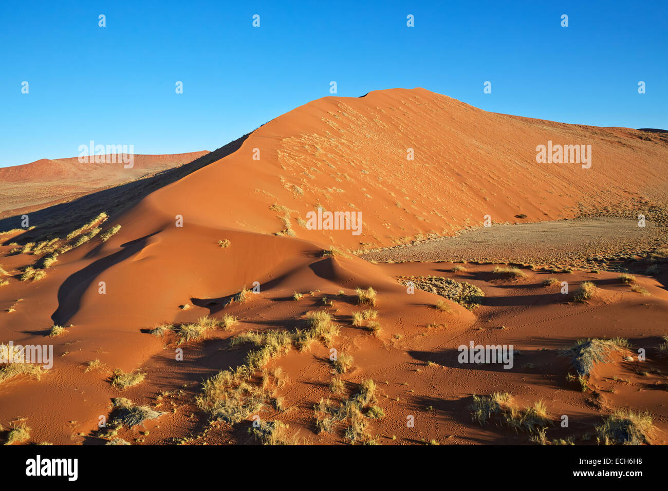 Le dune di sabbia, Sossusvlei, Namib Desert, Namibia Foto Stock