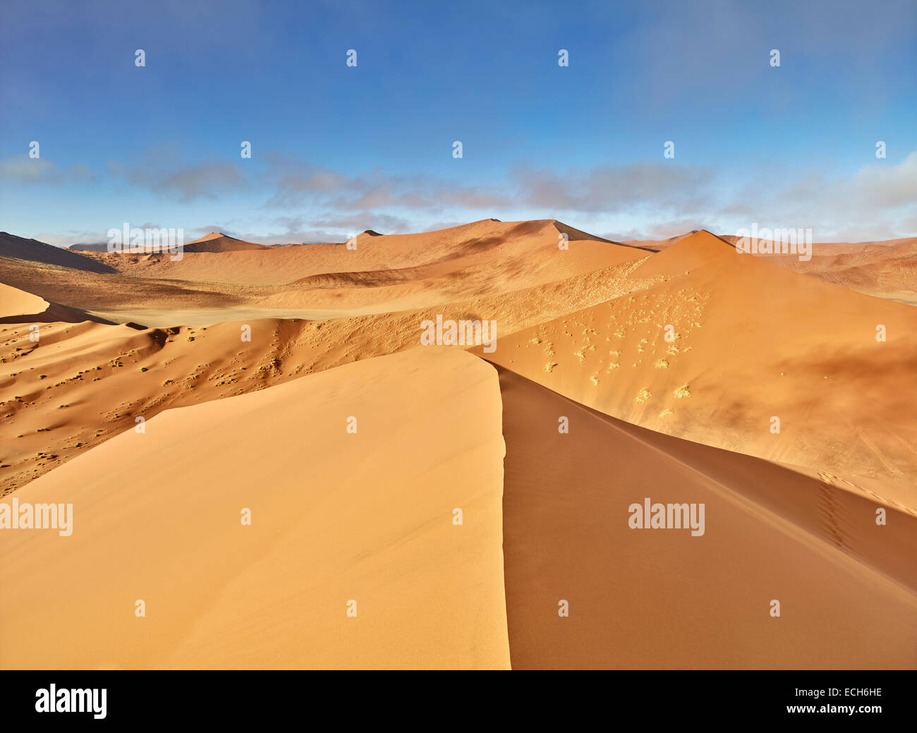 Vista dalla duna 45, dune di sabbia, Sossusvlei, Namib Desert, Namibia Foto Stock