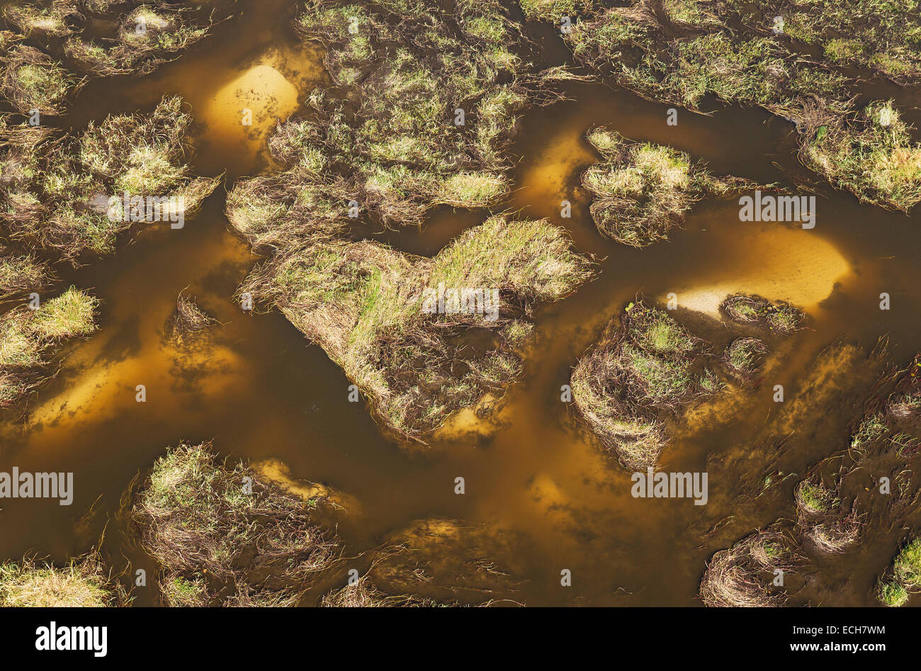 Paludi d'acqua dolce con flussi di sabbia, i canali e le isole, vista aerea, Okavango Delta, Botswana Foto Stock