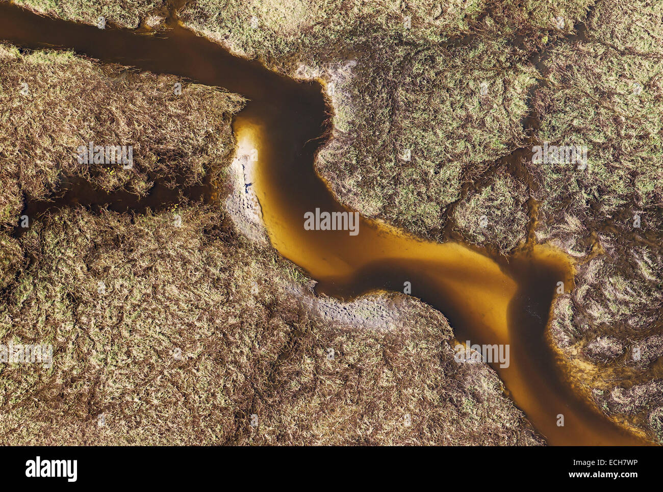 Paludi d'acqua dolce con sabbia di torrenti e canali, vista aerea, Okavango Delta, Botswana Foto Stock