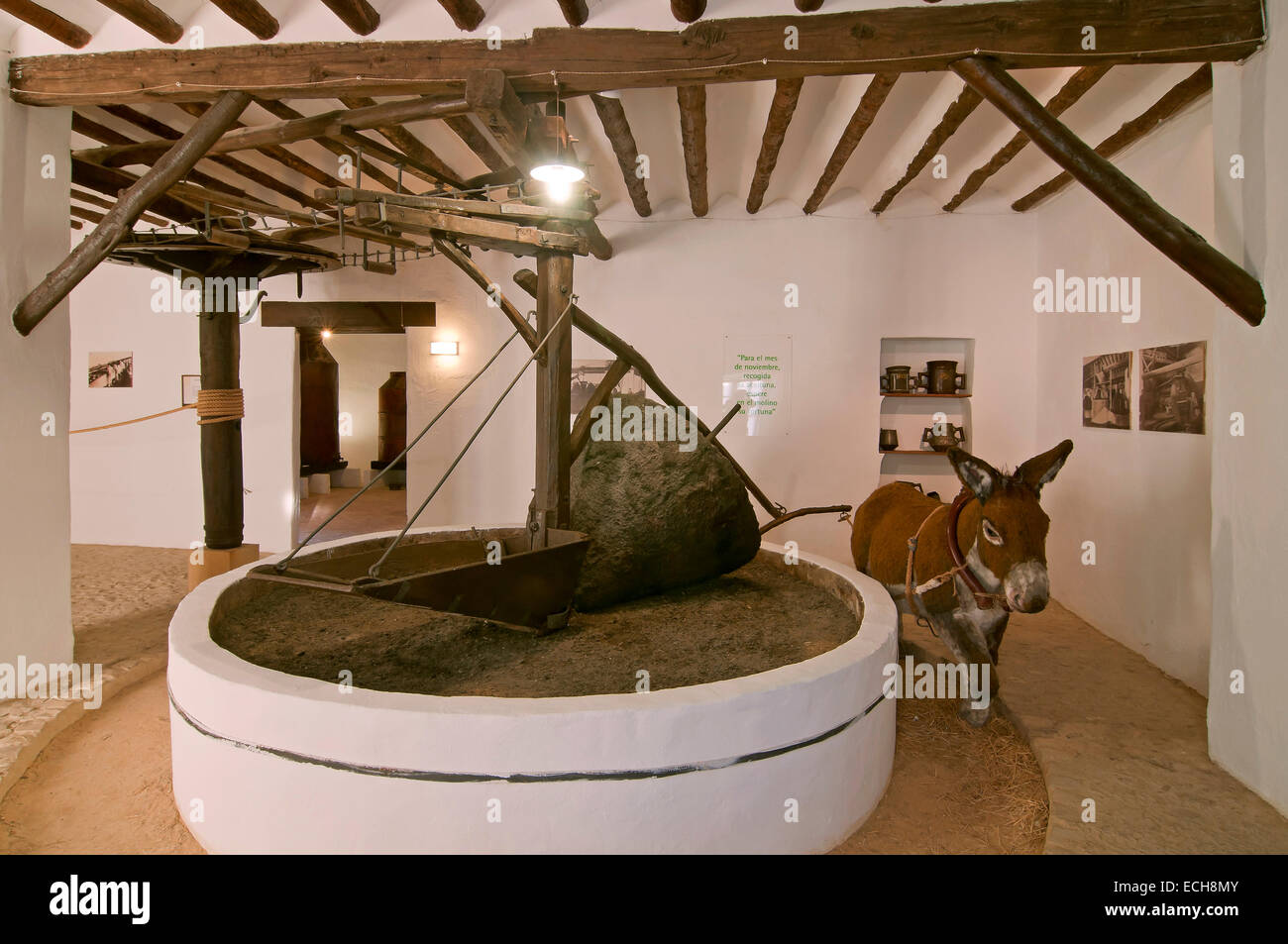 Museo della cultura dell'Oliva, mulino, Puente del Obispo-Baeza, Jaen provincia, regione dell'Andalusia, Spagna, Europa Foto Stock