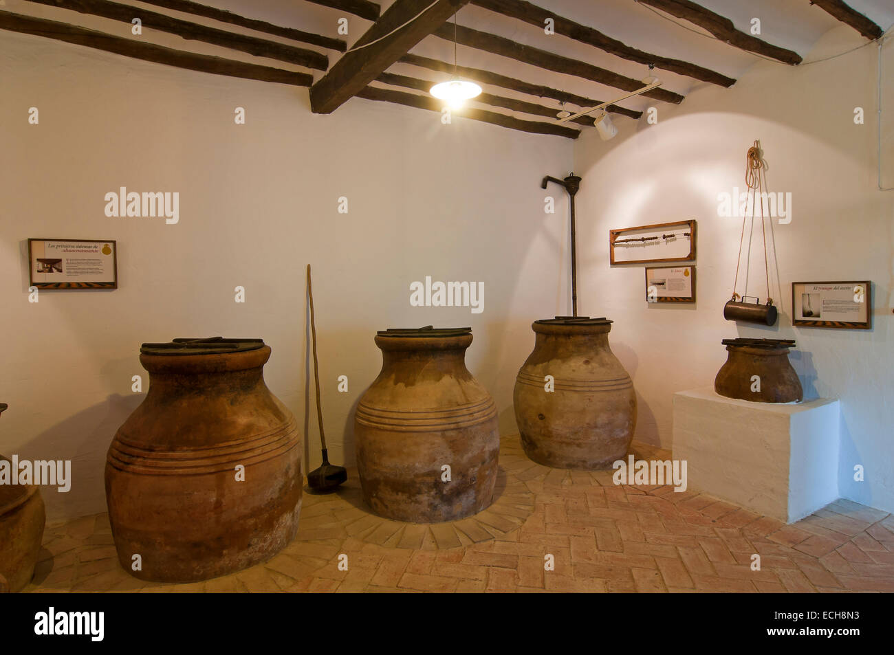 Museo della cultura dell'Oliva, Puente del Obispo-Baeza, Jaen provincia, regione dell'Andalusia, Spagna, Europa Foto Stock