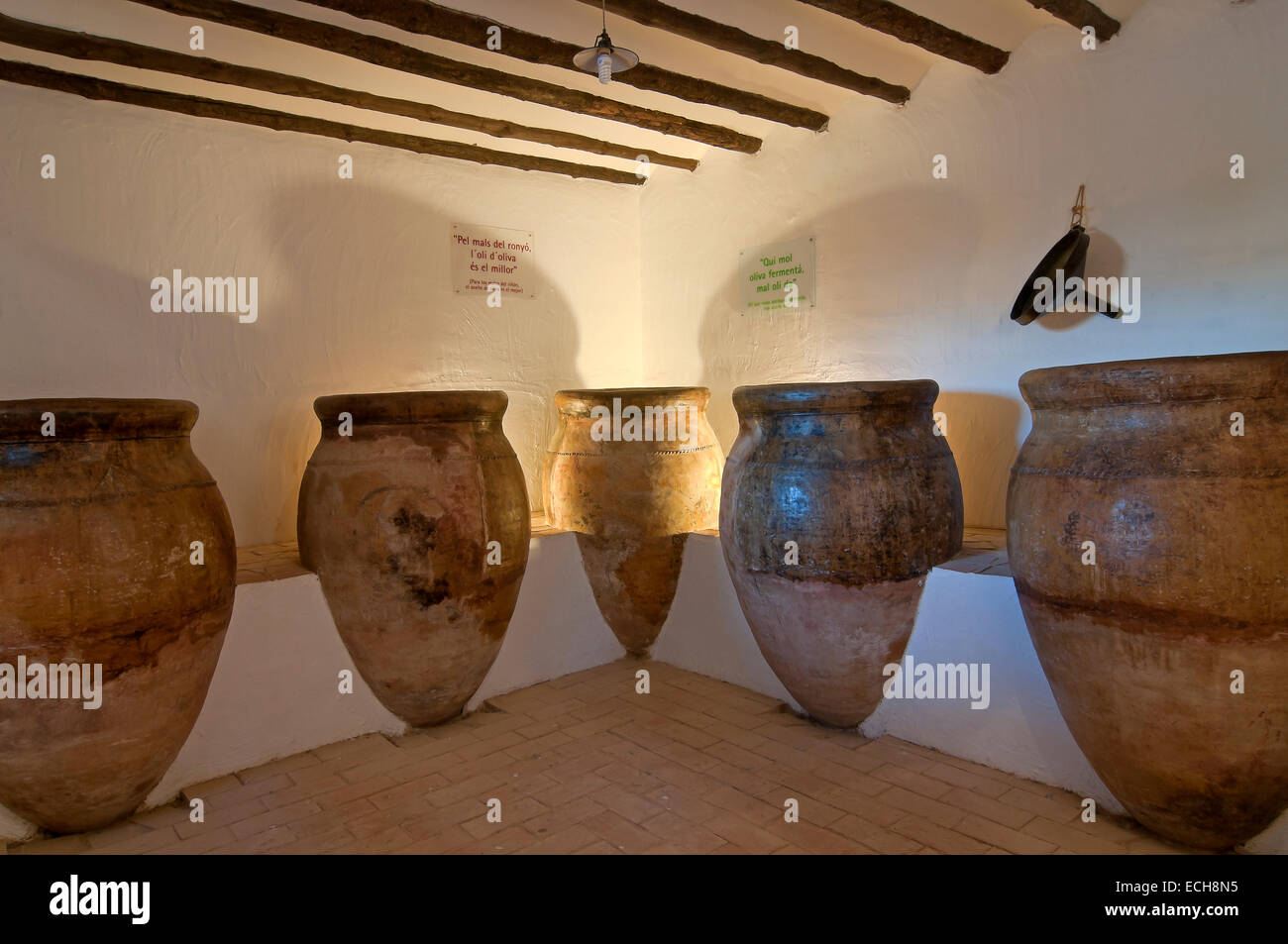 Museo della cultura dell'Oliva, Puente del Obispo-Baeza, Jaen provincia, regione dell'Andalusia, Spagna, Europa Foto Stock