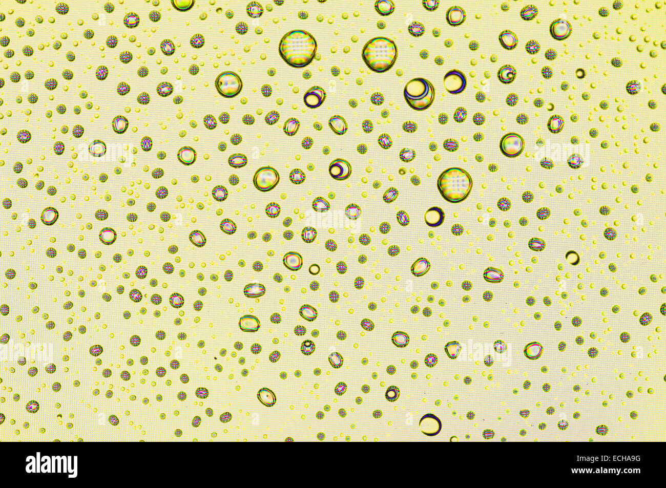 Le goccioline di acqua sullo schermo di un computer. Modelli astratti un essere utili per gli sfondi e sfondi. Foto Stock