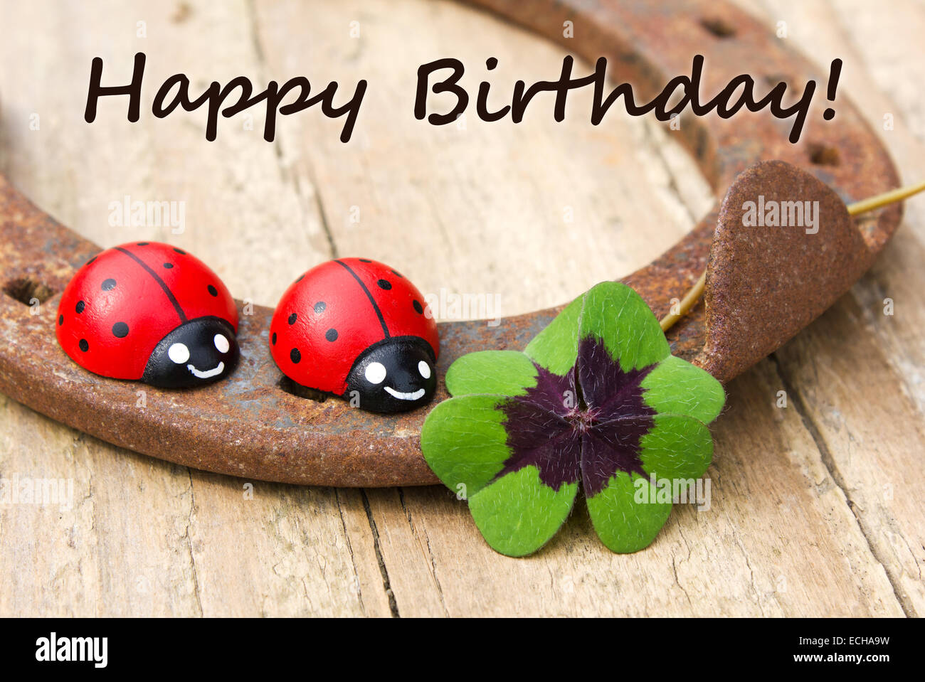 Biglietto di auguri di compleanno con ferro di cavallo, Leafed trifoglio e ladybugs Foto Stock