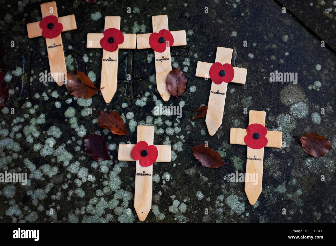 Appello di papavero ricordo croci di legno su un lichene pietra coperta memoriale di guerra. Foto Stock
