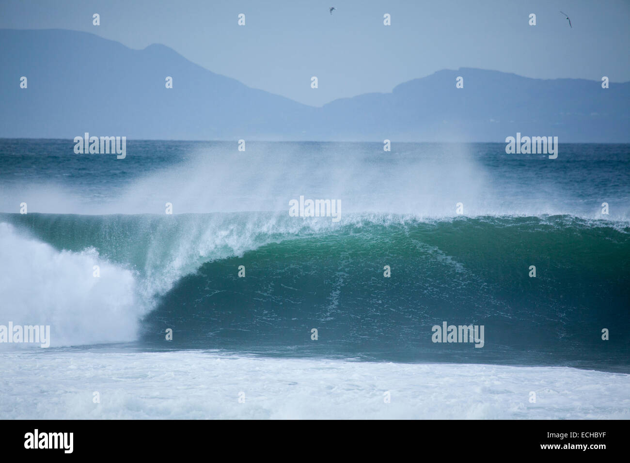 Rottura d'onda in corrispondenza di un punto da surf in Bundoran, Baia di Donegal, County Donegal, Irlanda. Foto Stock