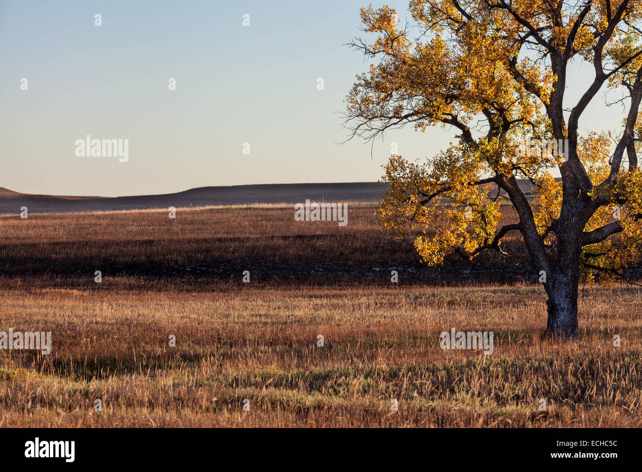Tallgrass Prairie National Preserve, Flint Hills, Kansas Foto Stock