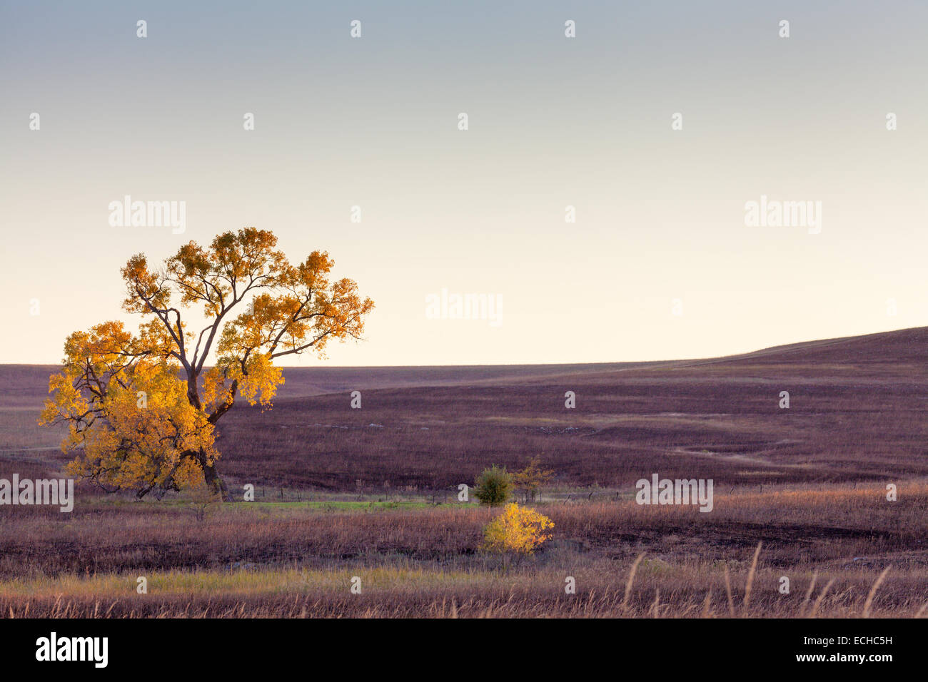 Tallgrass Prairie National Preserve, Flint Hills, Kansas Foto Stock