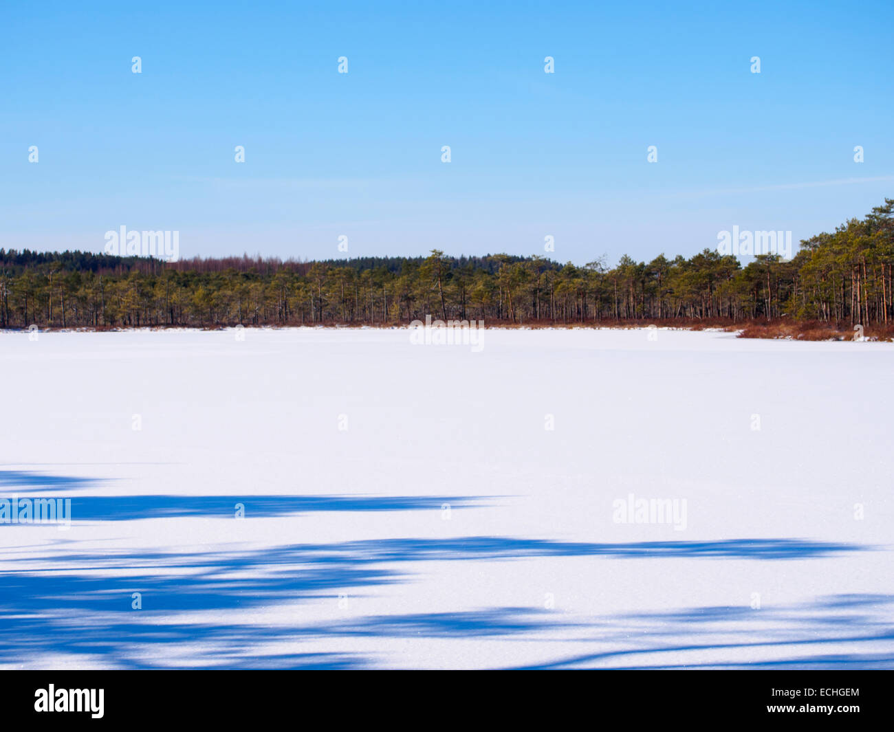 Torbiera del lago in inverno coperto da ghiaccio nevoso Foto Stock