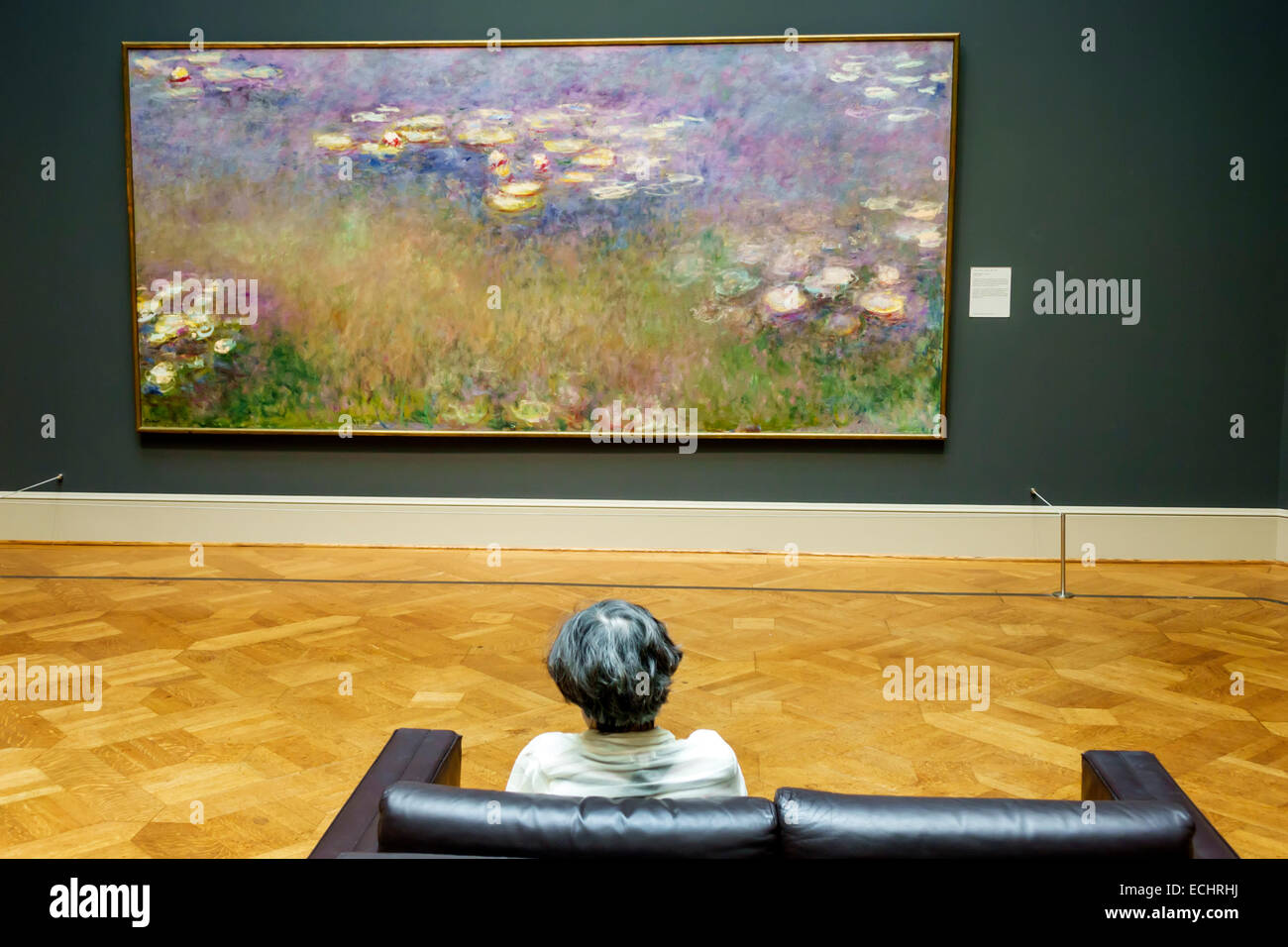 Saint St. Louis Missouri,Forest Park,Saint Louis Art Museum,galleria,mostra collezione arte,Claude Monet,artista francese,impressionismo,Wat Foto Stock