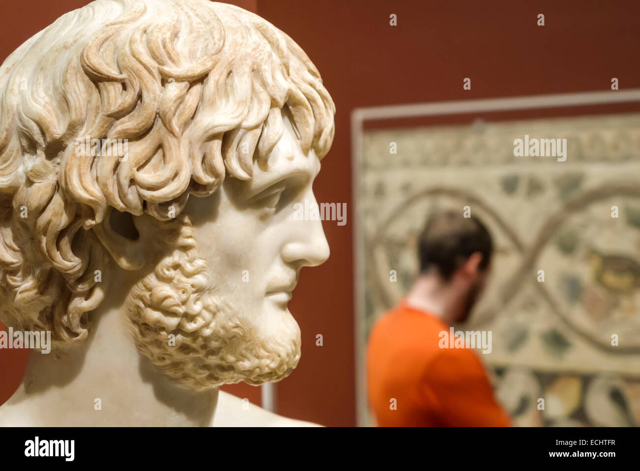 Saint St. Louis Missouri, Forest Park, Saint Louis Art Museum, gallerie d'arte, mostra collezione, opere d'arte, arte antica, romana, testa, autobus Foto Stock