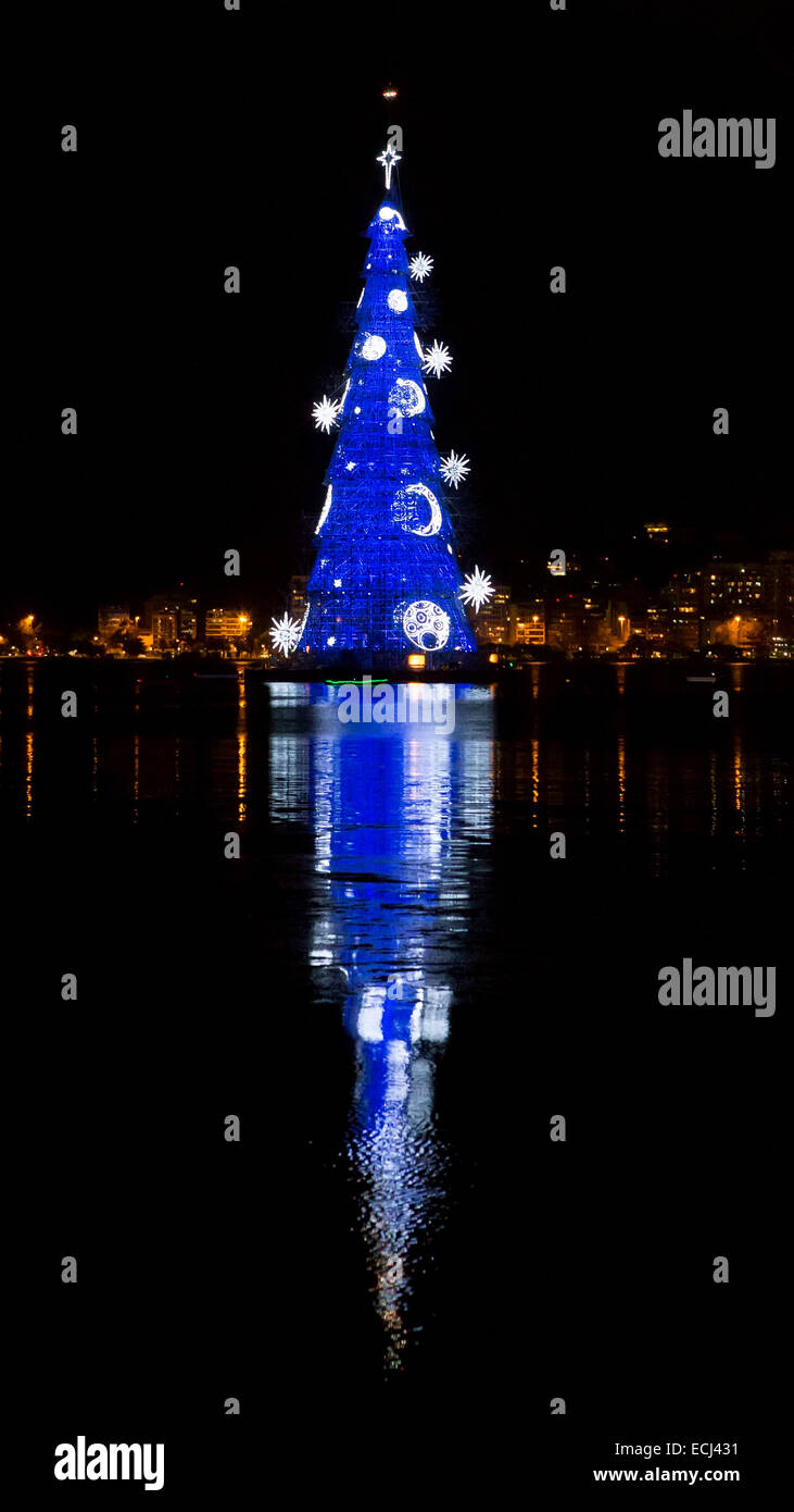 Rio De Janeiro, Brasile. 15 dic 2014. Un gigantesco albero di Natale è visto sul lago di Rodrigo de Freitas in Rio de Janeiro, Brasile, 15 dicembre 2014. L'albero gigante, che si trova a 85 metri di altezza e installato con circa 3,1 milioni di micro lampadine a LED è acceso ogni anno prima di Natale. Il tema della struttura di questo anno è "un Natale di luce". Credito: Xu Zijian/Xinhua/Alamy Live News Foto Stock