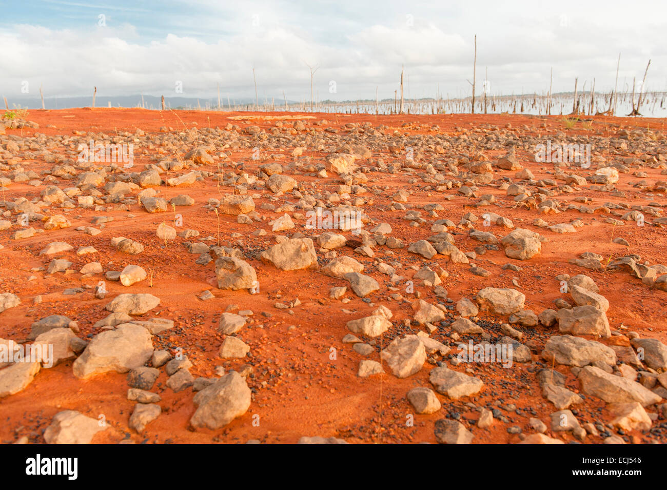 Tronchi di alberi sono gli unici resti di foresta pluviale inondata di costruire il lago Brokopondo, Blommensteinmeer, Suriname Foto Stock