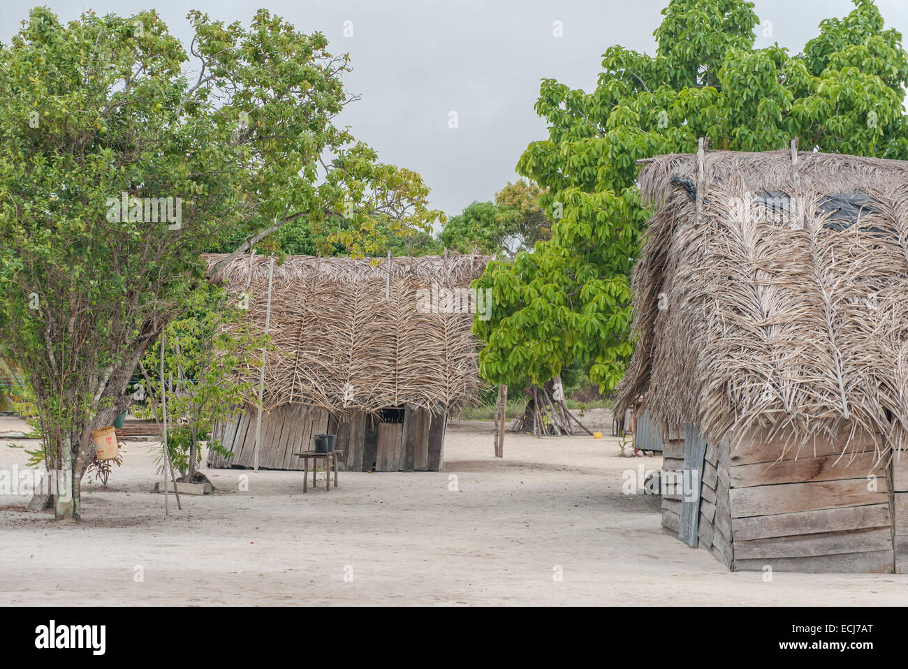 Tradizionali capanne in legno con tetto di palm nel villaggio di Amerindian di Christiaankondre, Galibi, Suriname Foto Stock