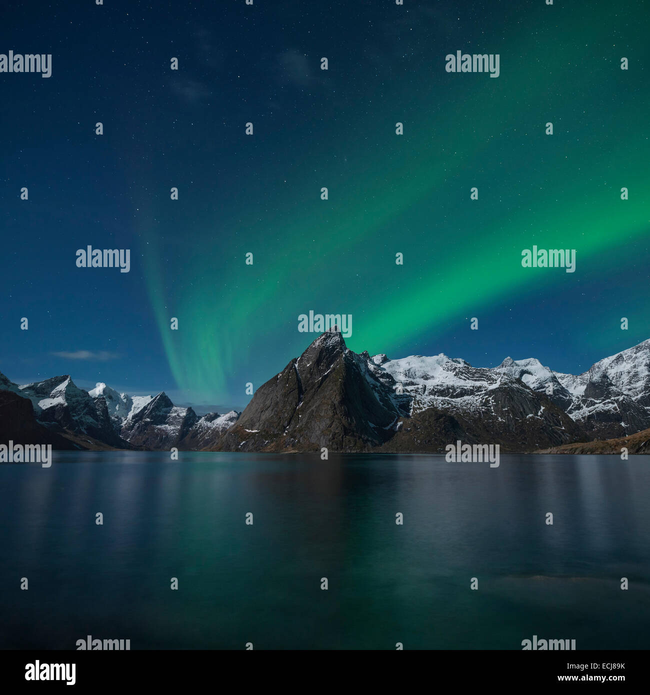 Luci del nord - Aurora Boreale brillare nel cielo sopra Olstind picco di montagna, Hamnøy, vicino a Reine, Moskenesøy, Isole Lofoten in Norvegia Foto Stock