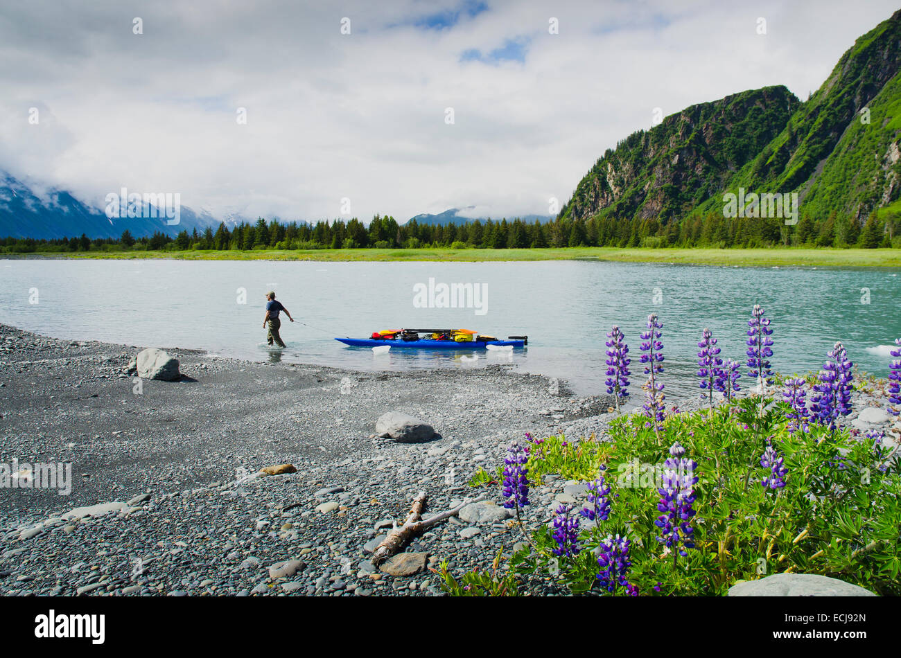 L'uomo cale kayak e marcia fino il fiume alimentatore per Bear Lake e recare il Glacier, Alaska. Foto Stock