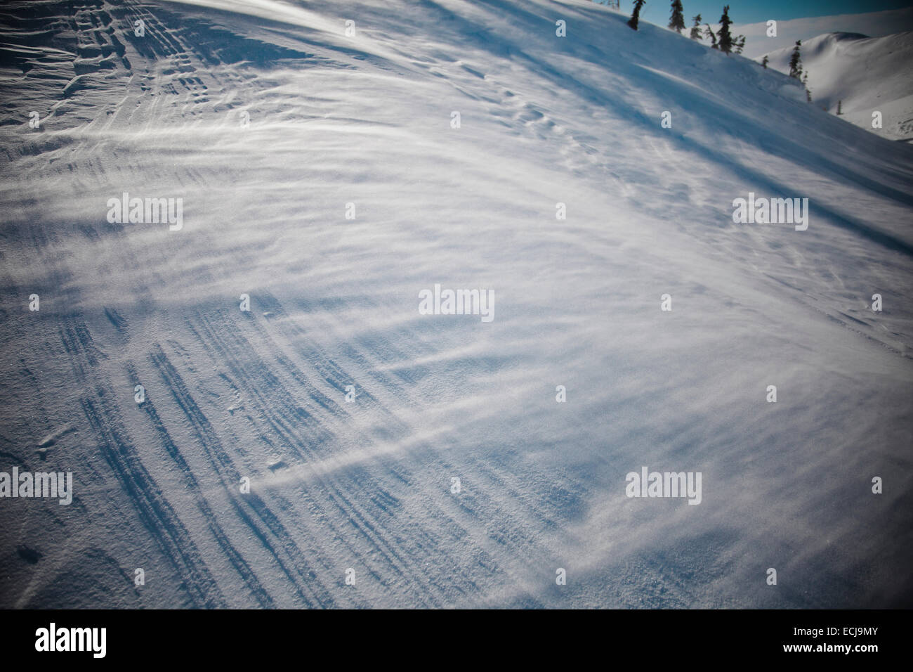 Vento-neve soffiata. Foto Stock