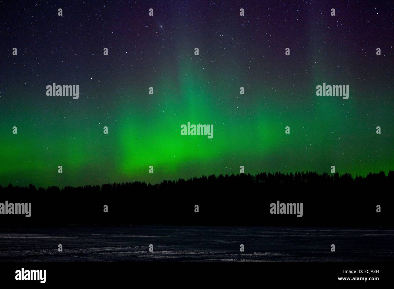 Finlandia, Hossa Natura Park, Est della Lapponia, aurora boreale Foto Stock