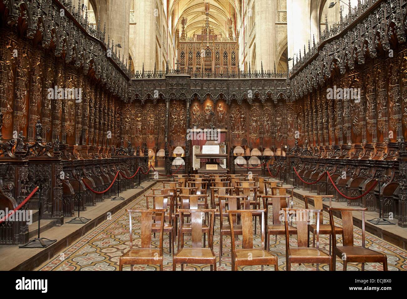 Francia, GERS, AUCH, Cattedrale di Santa Maria, stop sul modo di Saint Jacques de Compostelle elencati come patrimonio mondiale dall' UNESCO, set di 113 bancarelle in massello di rovere Foto Stock