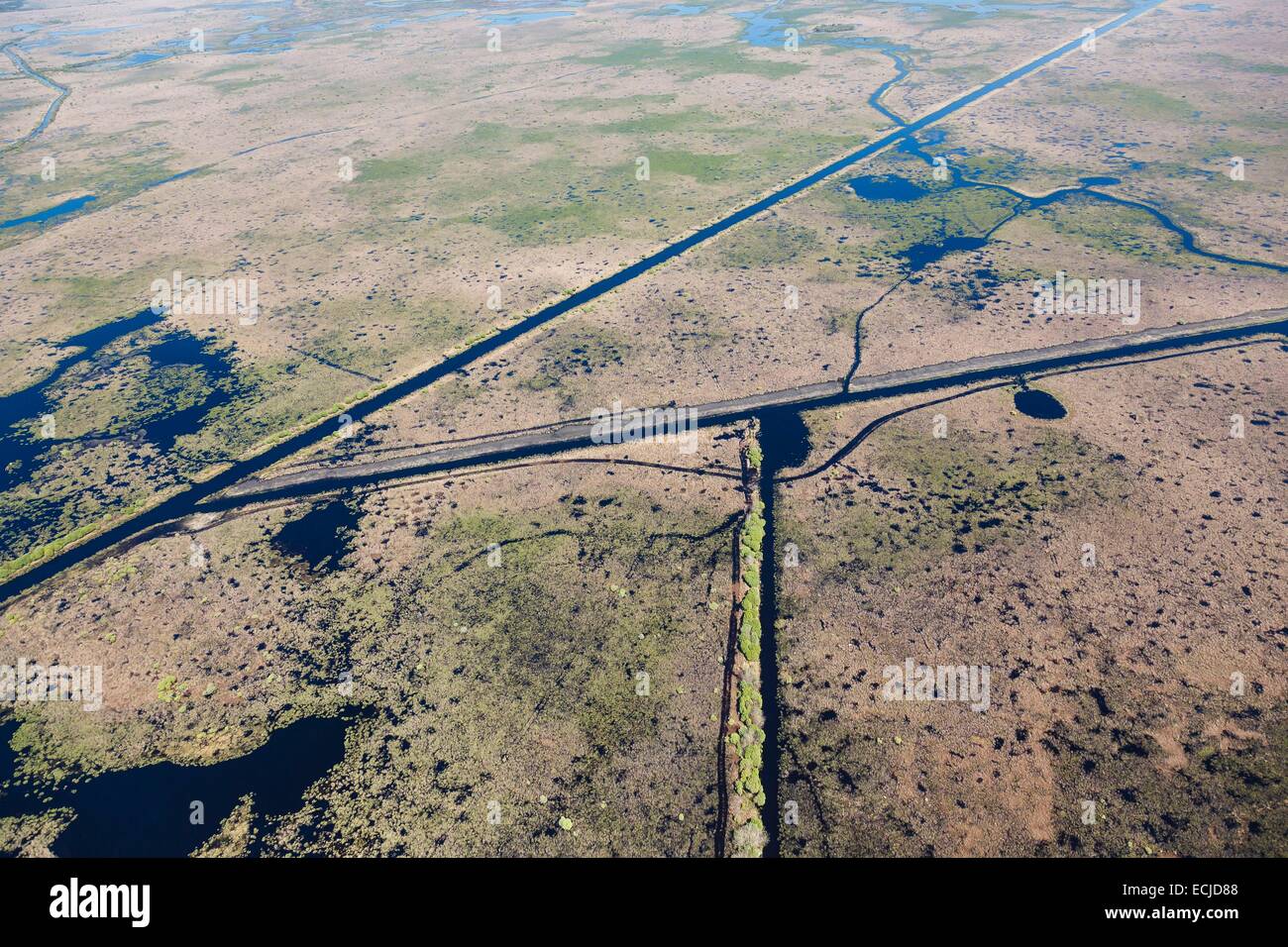Francia, Loire Atlantique, Saint Lyphard, canali in Briere parco regionale (vista aerea) Foto Stock