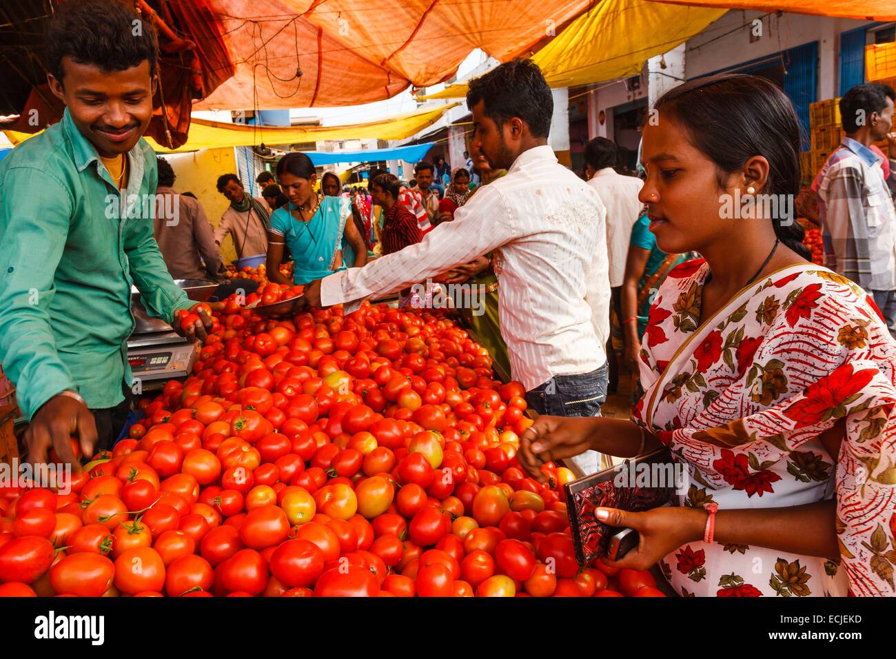 India, Chhattisgarh, Jagdalpur, donna acquisto di pomodori al mercato Foto Stock
