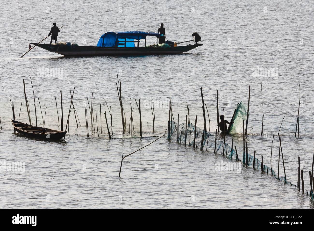 India, Odisha, Satapada, la pesca in barca e un pescatore di impostazione reti sulla laguna Chilika Foto Stock