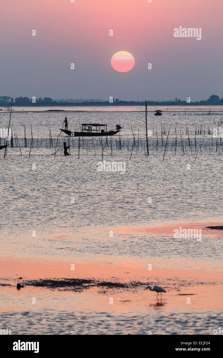 India, Odisha, Satapada, pescatore sul Chilika laguna al tramonto Foto Stock