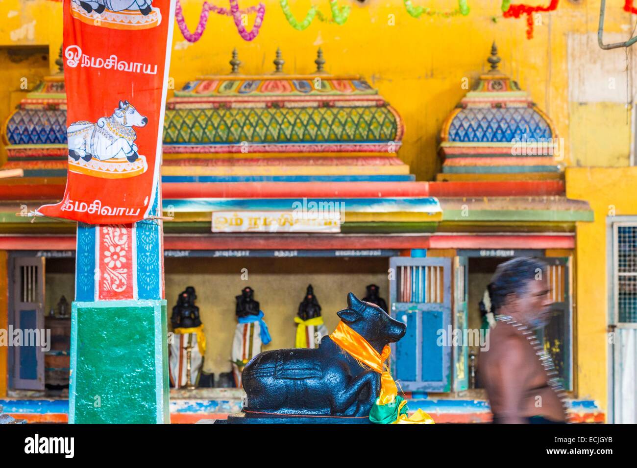 Sri Lanka, provincia Orientale, Trincomalee, tempio indù Koneswaram (Thirukoneswaran) ricostruita nel 1952 ma invece venerato fin dal VI secolo a.c. che mostra il toro Nandi (montaggio di Shiva) Foto Stock