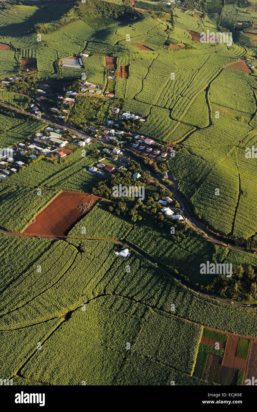 Francia, Isola di Reunion (dipartimento francese d' oltremare), costa meridionale vers Petite Ile, campi di canna da zucchero (vista aerea) Foto Stock