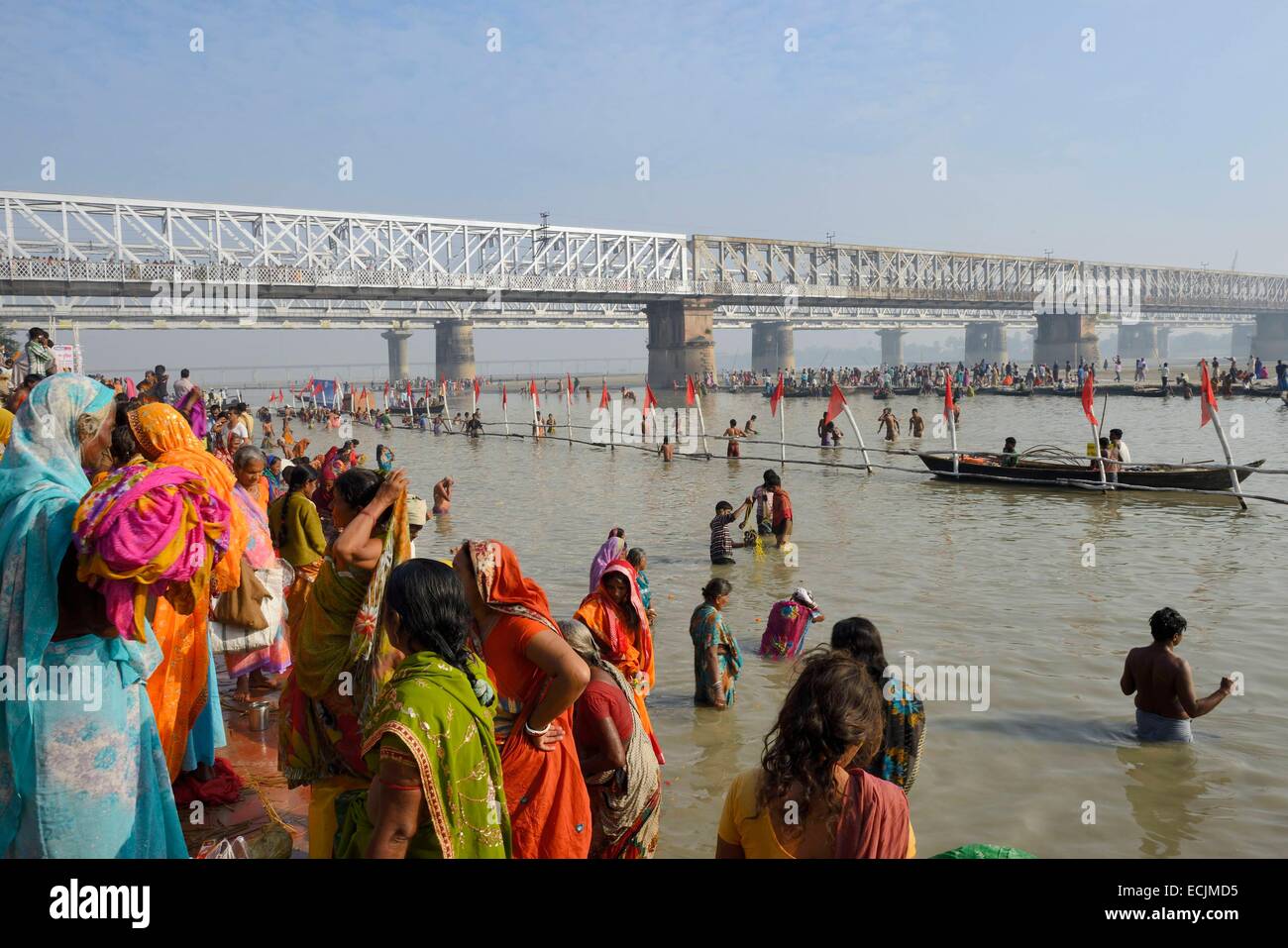 India, Bihar, Sonepur fair, Kartik Poornima (giorno di luna piena), mattino abluzioni sulla confluenza del fiume Gange e Gandak Foto Stock