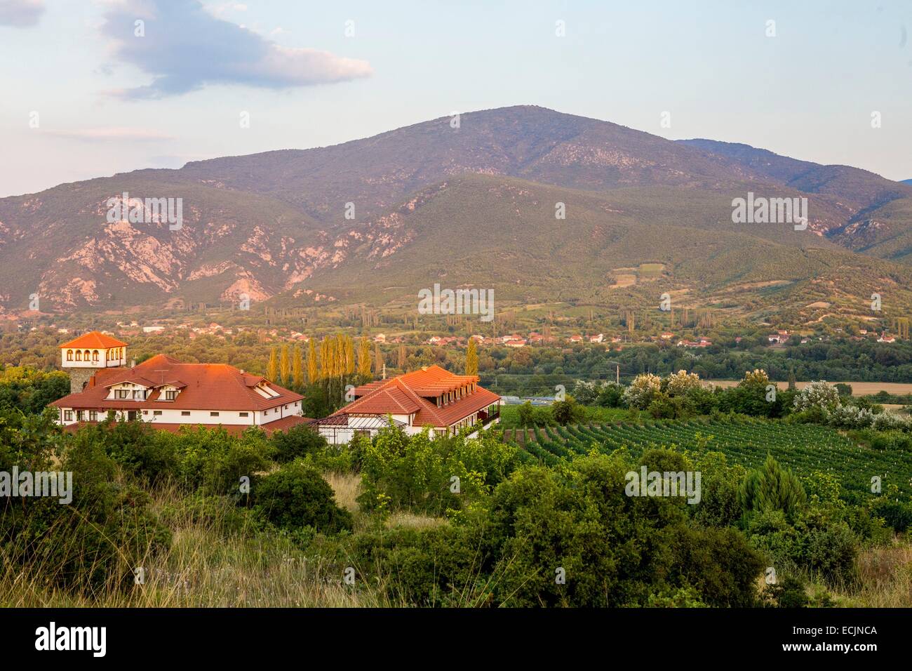 Repubblica di Macedonia, regione vinicola Demir Kapija, Popova Kula winery Foto Stock