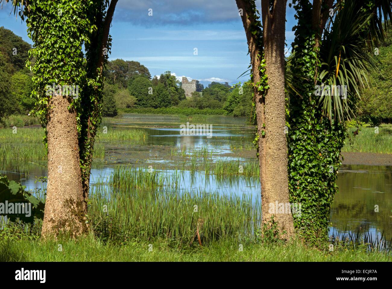 Regno Unito e Irlanda del Nord, County Down, Strangford, il castello del XVIII secolo Ward sullo Strangford Lough Foto Stock