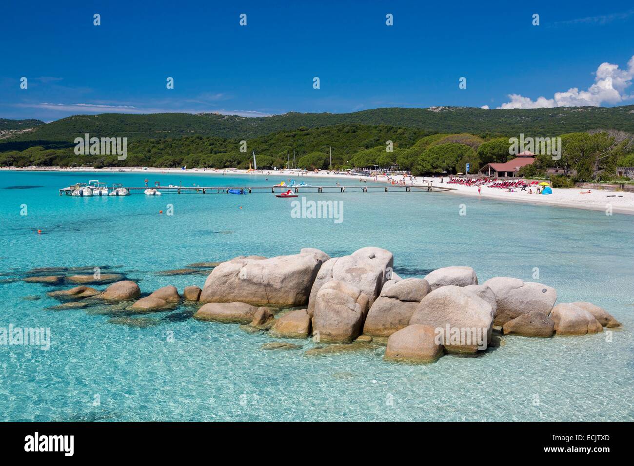 Francia, Corse du Sud, Porto Vecchio, la spiaggia di Santa Giulia Foto Stock