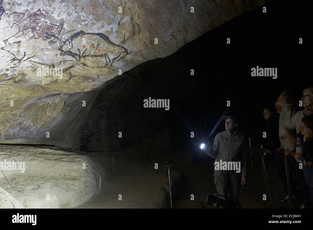 Francia, Ariège, grotte Niaux, Paleolitico Superiore, rappresentazioni di animali Magdalenian parietal, guida illuminando un muro ornato Foto Stock