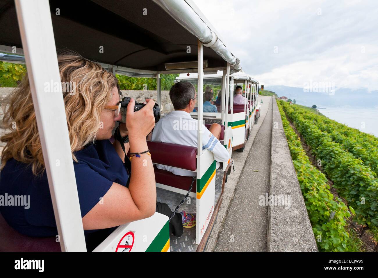 La Svizzera, nel Cantone di Vaud, vigneto di Lavaux terrazze sono classificati come patrimonio mondiale dall'UNESCO, si estende da Montreux a Losanna su 32km lungo il lago di Ginevra e 850 ettari, il treno turistico Foto Stock