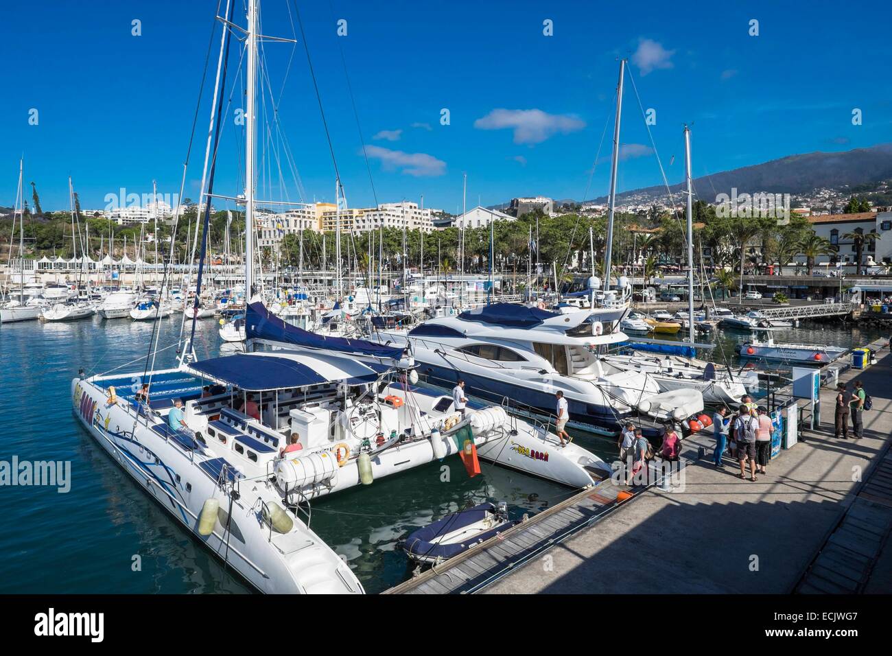 Il Portogallo, l'isola di Madeira, Funchal, la marina Foto Stock