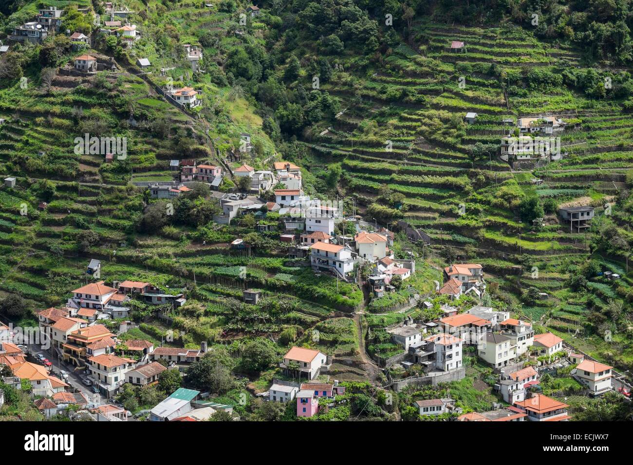 Il Portogallo, l'isola di Madeira, villaggio e coltivazioni a terrazza vicino a Machico Foto Stock