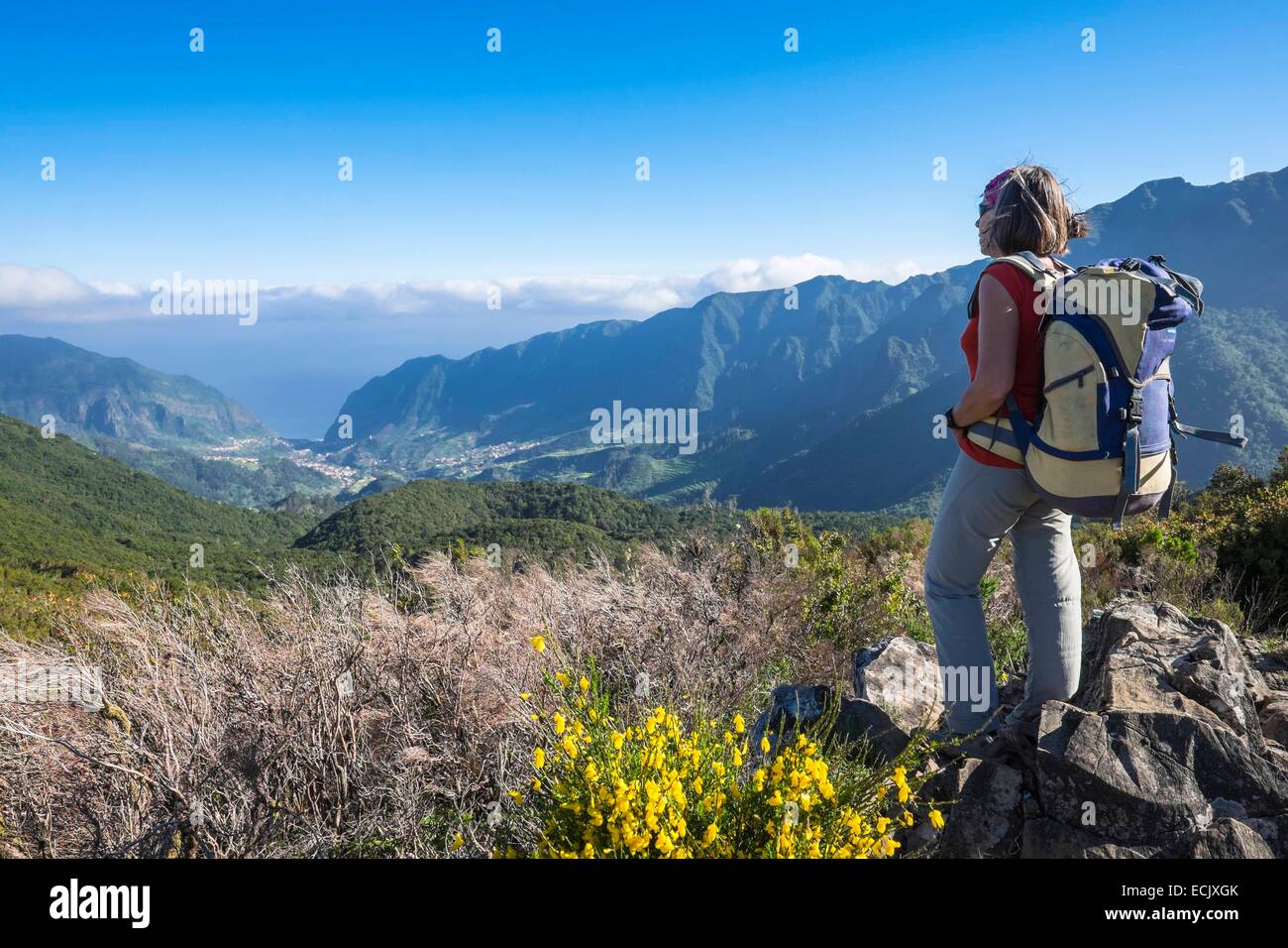 Il Portogallo, l'isola di Madeira, escursione da Encumeada di Curral das Freira, vista su Sao Vicente Foto Stock