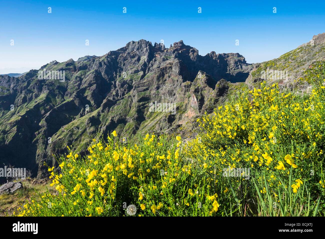 Il Portogallo, l'isola di Madeira, escursione tra Pico Ruivo e Pico Arieiro Foto Stock