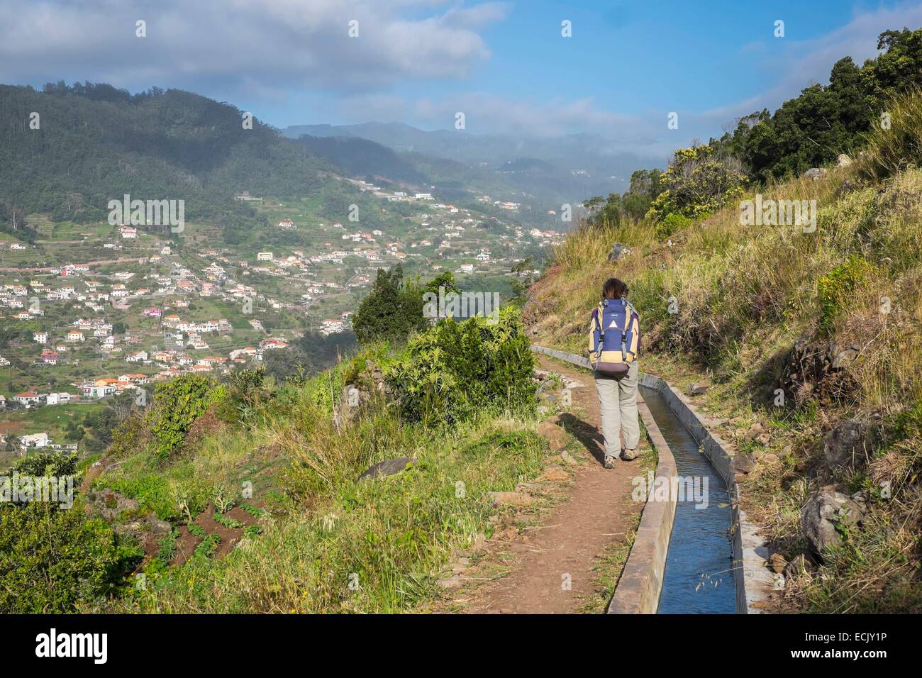 Il Portogallo, l'isola di Madeira, escursione da Machico a Porto da Cruz, lungo la Levada do Caniçal Foto Stock