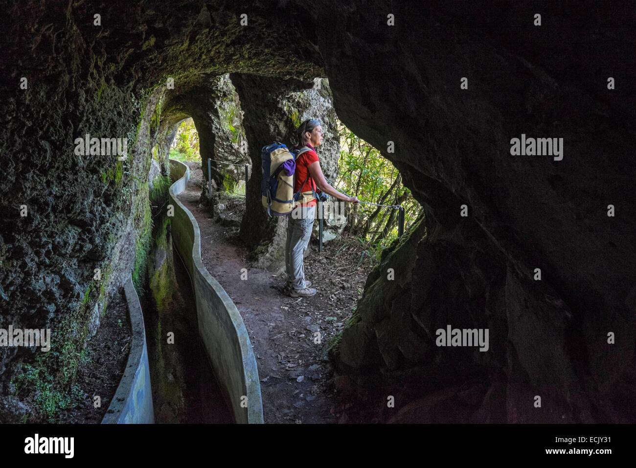 Il Portogallo, l'isola di Madeira, escursione da Portela di Ribeiro Frio lungo la Levada fare Furado, nel cuore della foresta Laurissilva, classificato come patrimonio mondiale dall' UNESCO Foto Stock