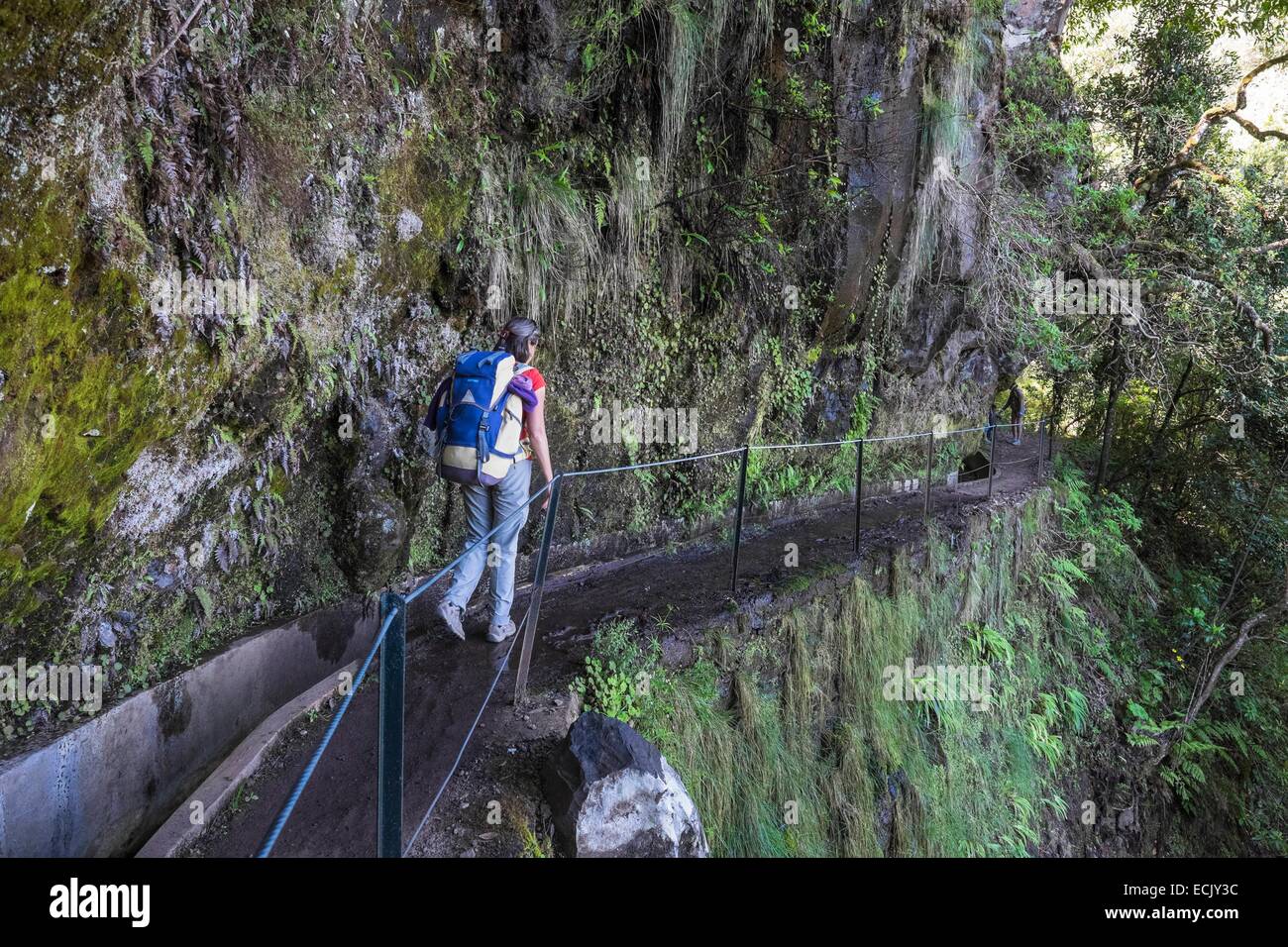 Il Portogallo, l'isola di Madeira, escursione da Portela di Ribeiro Frio lungo la Levada fare Furado, nel cuore della foresta Laurissilva, classificato come patrimonio mondiale dall' UNESCO Foto Stock