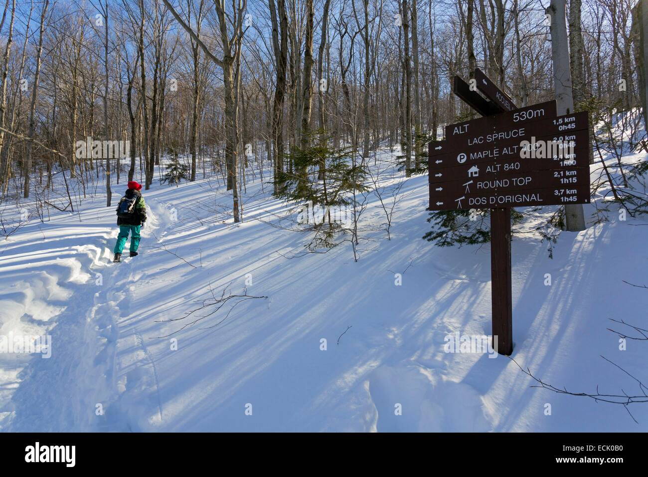 Canada, Québec provincia, la regione della Eastern Townships, il villaggio di Sutton, la riserva naturale delle montagne verdi, trekking ed escursioni con le racchette da neve in Sutton ambientali Parco naturale Foto Stock