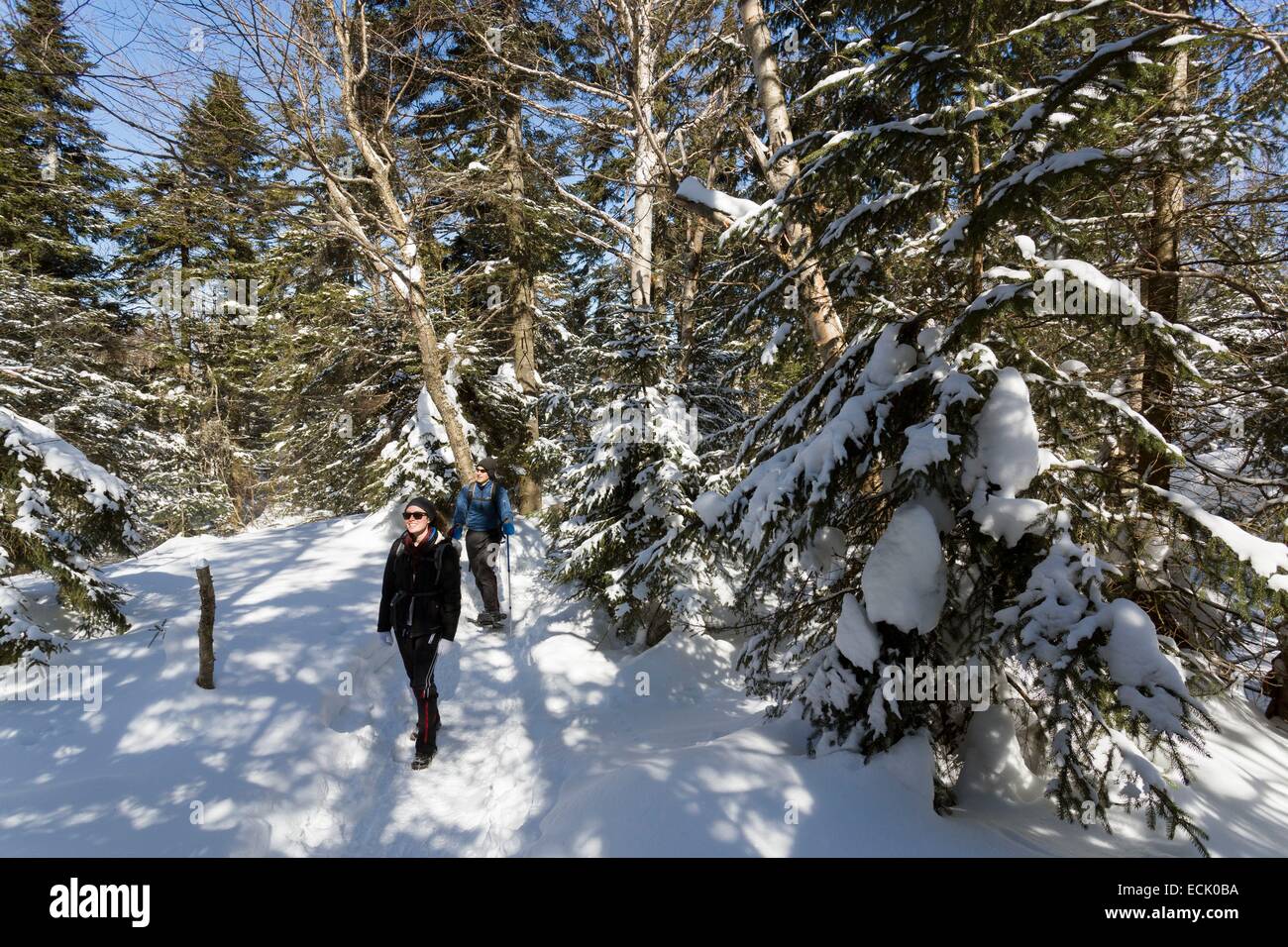 Canada, Québec provincia, la regione della Eastern Townships, il villaggio di Sutton, la riserva naturale delle montagne verdi, trekking ed escursioni con le racchette da neve in Sutton ambientali Parco naturale Foto Stock