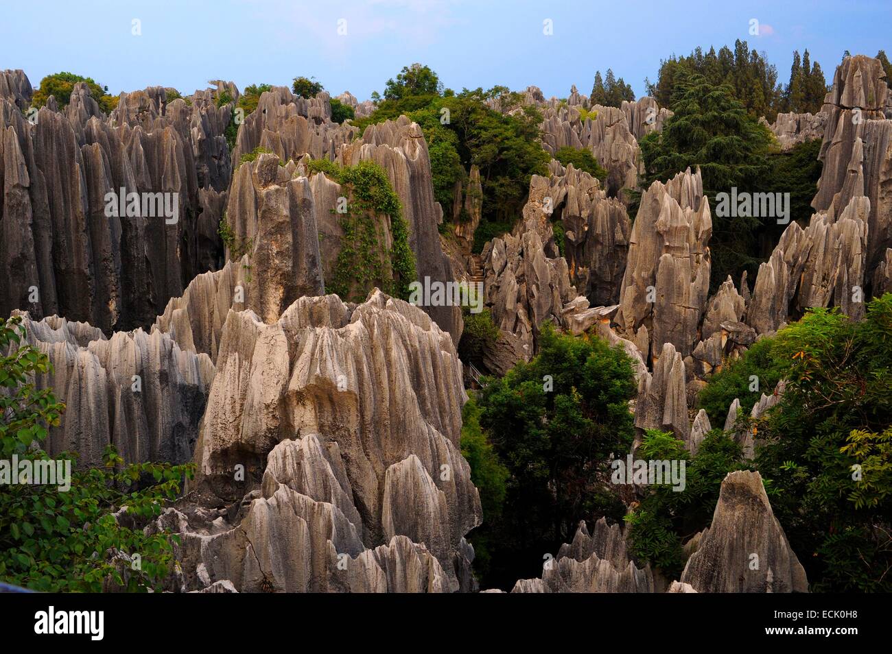 La Cina, nella provincia dello Yunnan, Shilin, formazioni carsiche nel parco di foresta di pietra Foto Stock