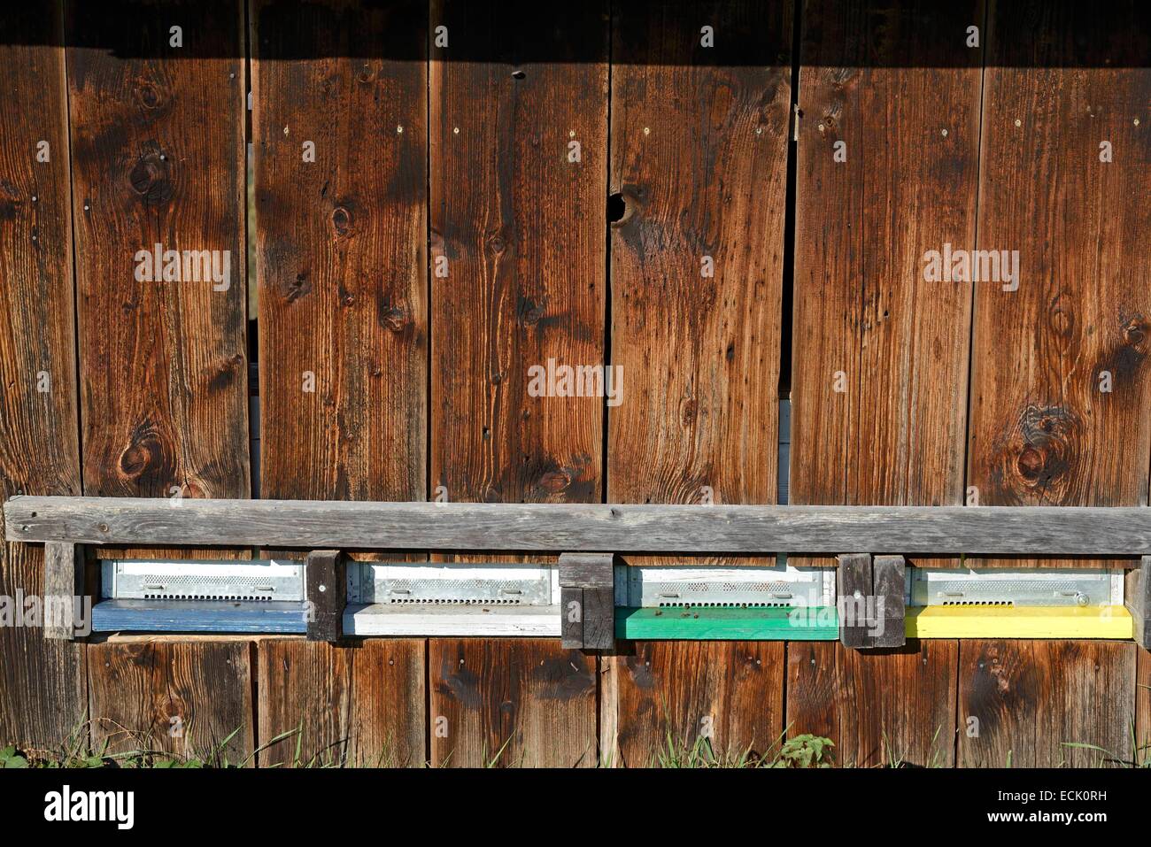 Francia, Doubs, Brognard, orticaria in un box per cavallo ancience Foto Stock