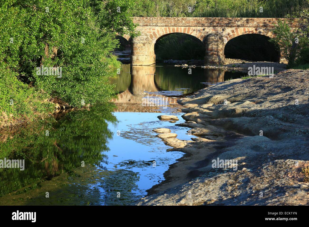 Francia, Var, Maures, Riserva Naturale Nazionale della Plaine des Maures, Le Cannet des Maures, D48 sul ponte, stream nove Riaux Foto Stock