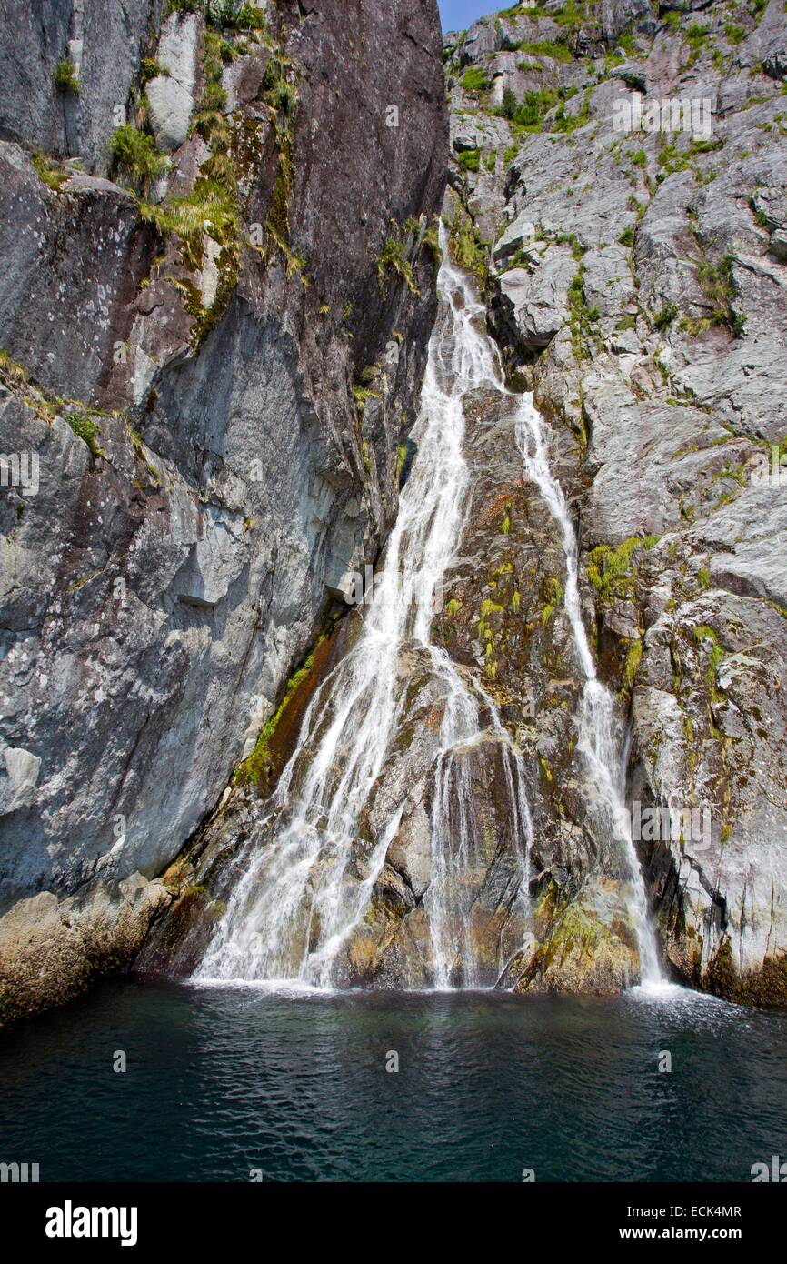 Stati Uniti, Alaska Kenai Peninsula, il Parco nazionale di Kenai Fjords Foto Stock